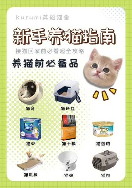 养猫指南书籍(养猫指南by 半盏玫瑰茶)