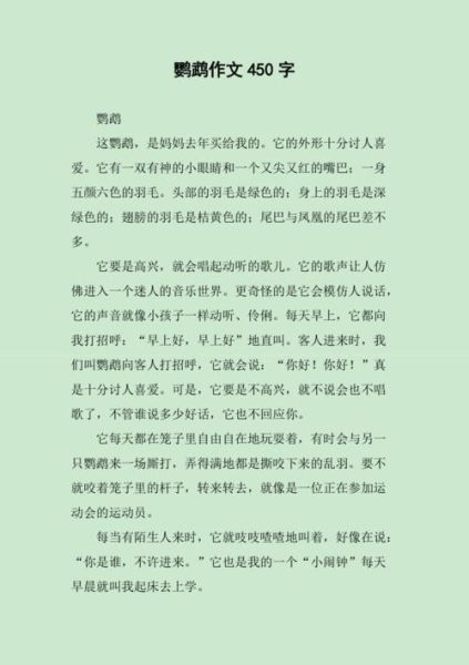 养鹦鹉的好处不仅可以不订闹钟还可以提神醒脑(养鹦鹉的好处写作文怎么写)