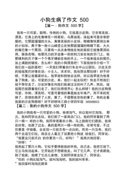 受伤的小狗作文(受伤的小狗作文怎么写)