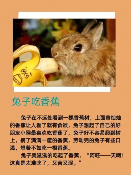 可以喂兔子吃香蕉吗(兔子吃香蕉吗会中毒吗)