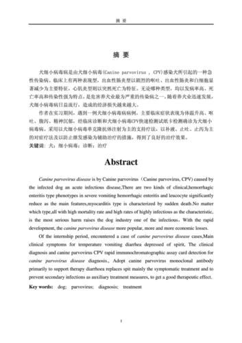 犬细小病毒病论文摘要(犬细小病毒病的诊断与治疗论文)