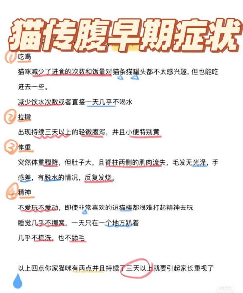 猫传腹早期症状和前兆(猫传腹的症状和表现)
