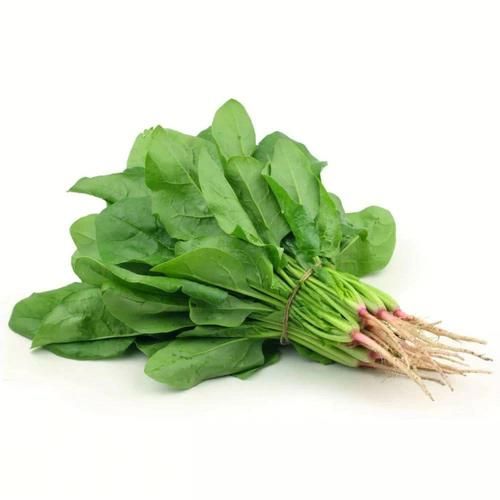 猫咪可以吃菠菜吗吗(猫能吃菠菜吗需要煮熟吗)