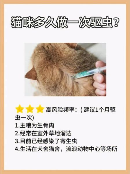 猫咪怀孕期间能驱虫吗(猫猫怀孕可以驱虫吗)
