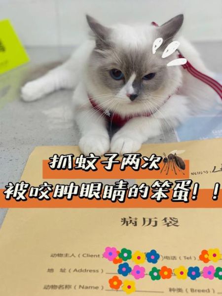 猫怕蚊虫叮咬吗(猫怕蚊子叮吗)