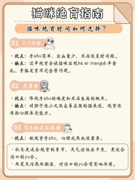 猫绝育的好处和坏处(公猫绝育的好处)