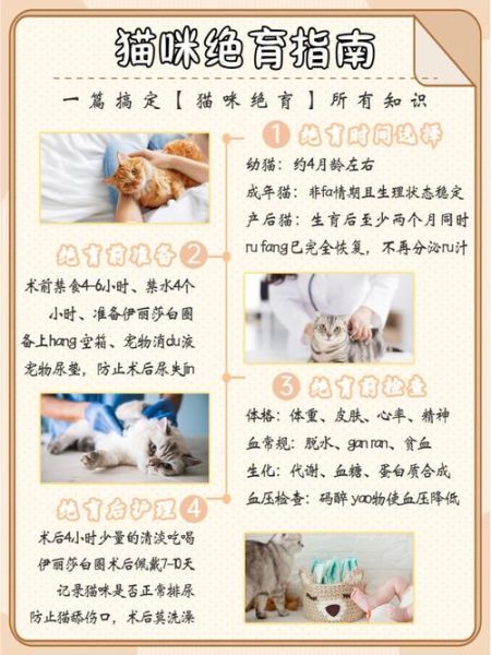 猫绝育的好处和坏处(公猫绝育的好处)