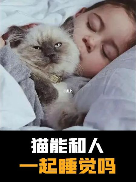 猫能跟人一起睡吗(中国最长寿的猫咪)