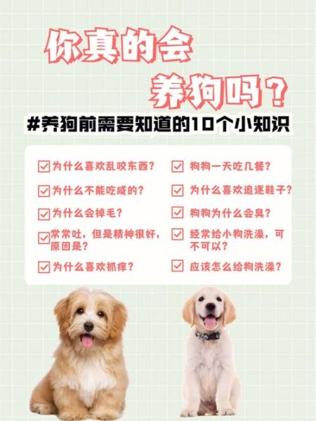 养狗技术视频完整版,养狗技术和防治疾病