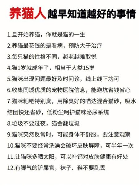 女人养猫的十大坏处,吸猫吸的是什么