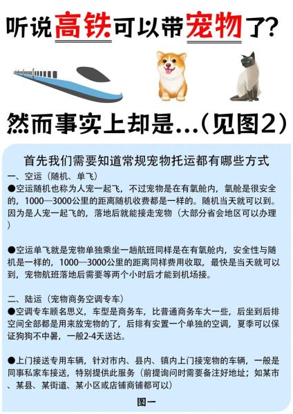 宠物坐高铁怎么弄,宠物坐高铁吗