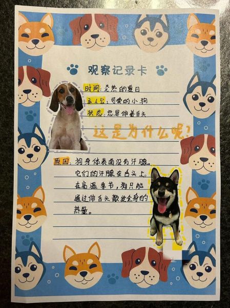 小狗资料简介,小狗资料卡小学生