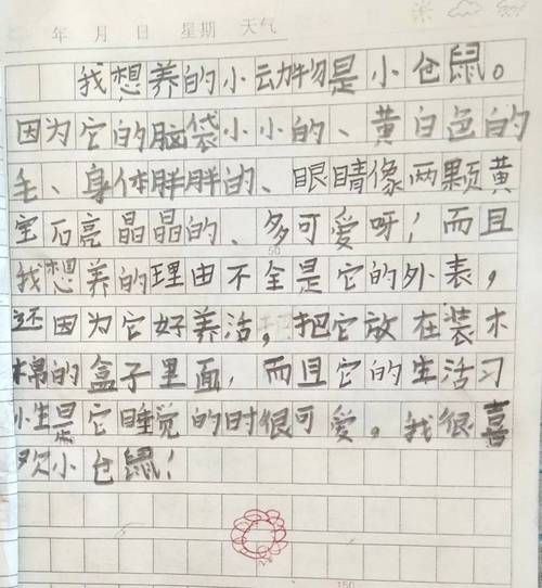 我想养兔子写话怎么写,我想养兔子二年级作文怎么写