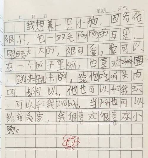 我想养兔子写话怎么写,我想养兔子二年级作文怎么写