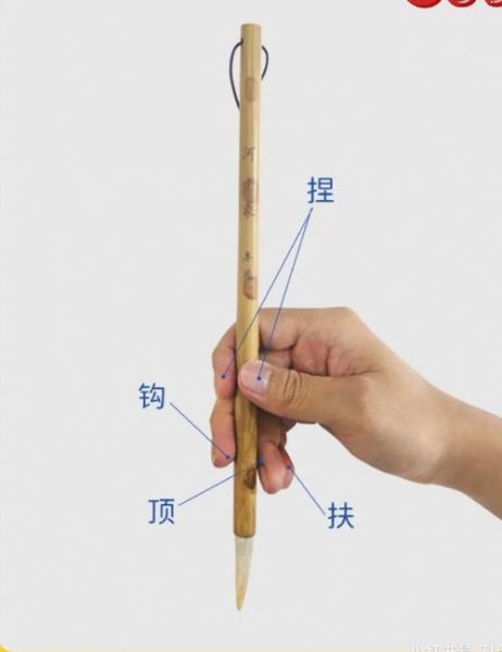 抓毛是啥意思,抓毛笔的正确姿势