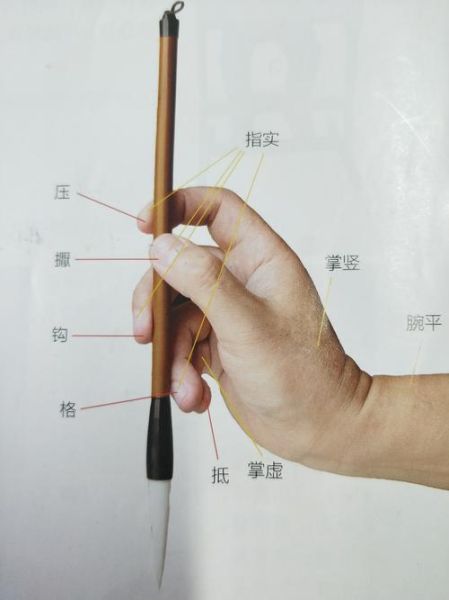 抓毛是啥意思,抓毛笔的正确姿势