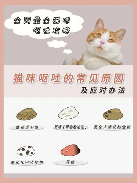 猫食欲不振呕吐怎么回事,猫食欲不振没精神