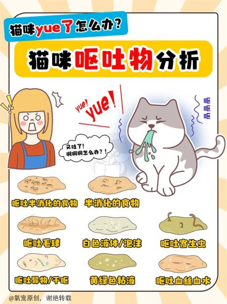 猫食欲不振呕吐怎么回事,猫食欲不振没精神