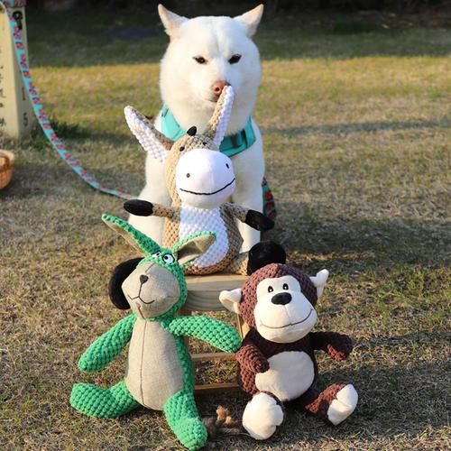 猴子宠物多少钱一只,猴子宠物哪里买