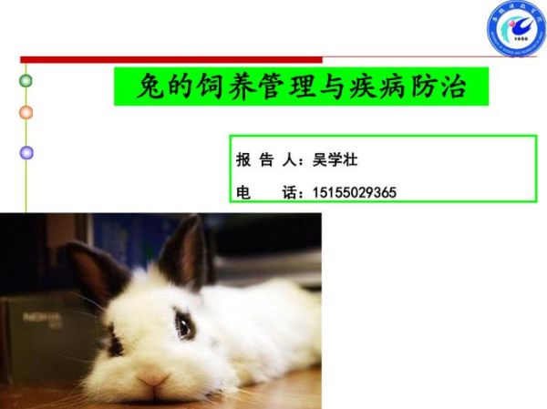 肉兔养殖技术与疾病防治,肉兔养殖技术与管理