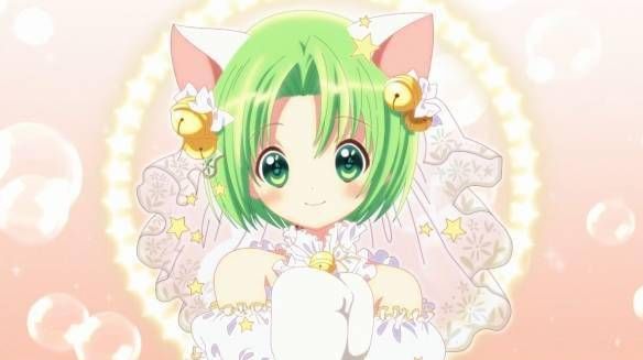铃铛猫娘角色介绍,铃铛猫动画片