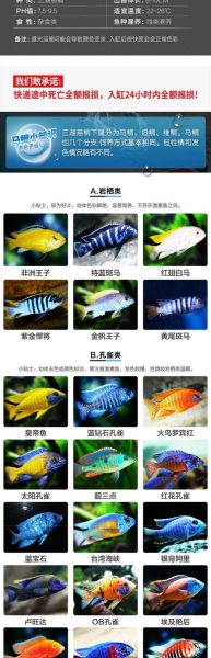 马鲷鱼多少钱一只,马鲷鱼有哪些品种
