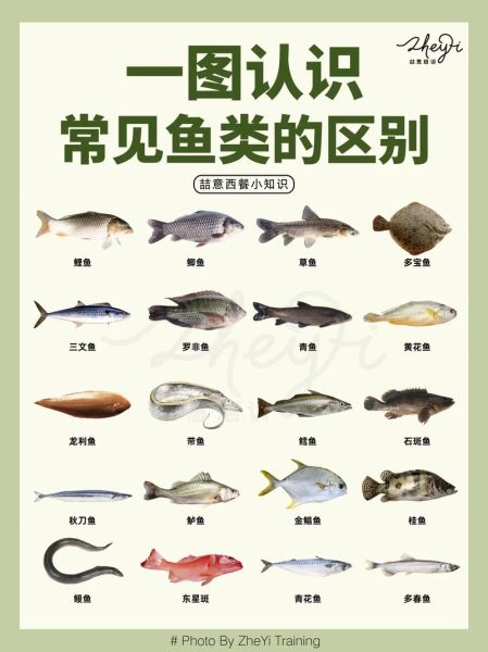 鱼类名称图片,鱼类名称大全500种图片