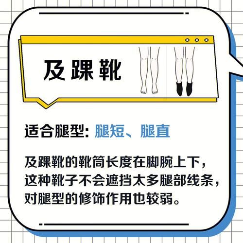 亚短腿和中腿怎么判断折叠图,亚短腿示意图