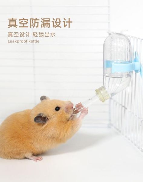 仓鼠喝不喝水,给仓鼠喂水,仓鼠喝不喝水用什么东西呵