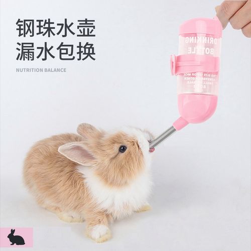 仓鼠怎么喂水视频,仓鼠怎么喂水没饮水器