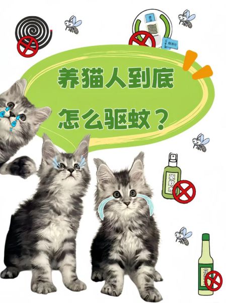 养猫家里怎么驱蚊子,家里养猫怎样除蚊