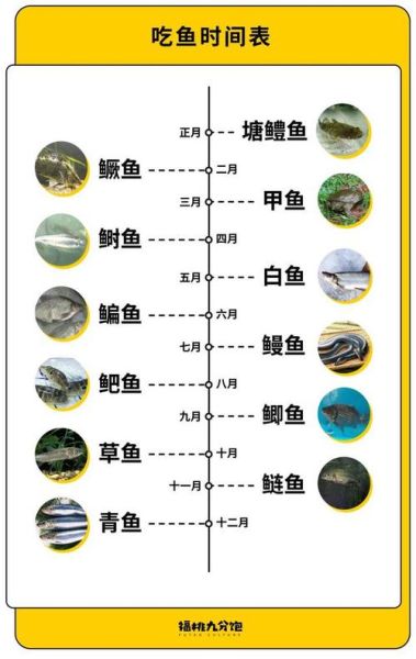 养鱼几天喂一次鱼食,养鱼几天喂一次最好