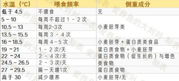 养鱼几天喂一次鱼食,养鱼几天喂一次最好
