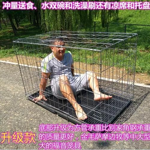 哈士奇能长多大需要买多大的笼子,哈士奇能长多大 成年