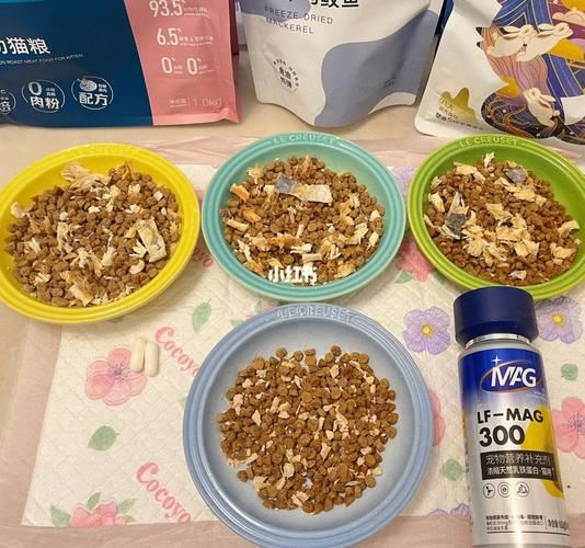 天小猫补单网,天小猫纵横工具箱