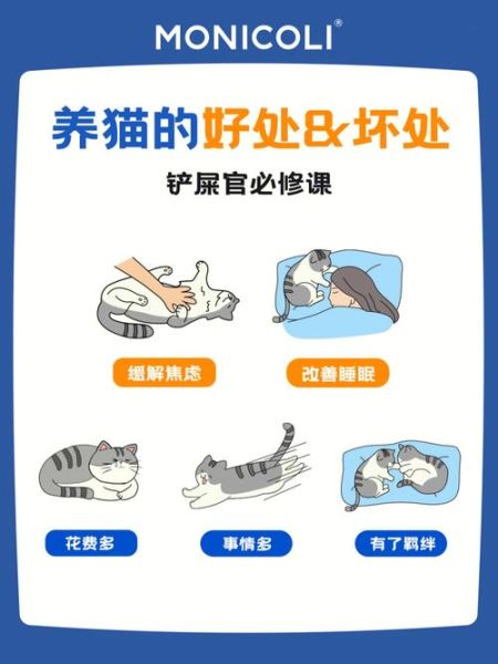 女人养猫的十大坏处,吸猫有什么好处