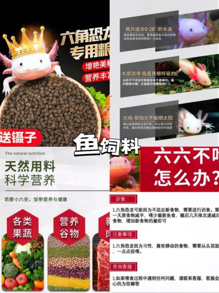 娃娃鱼饲料,娃娃鱼吃什么饲料家养