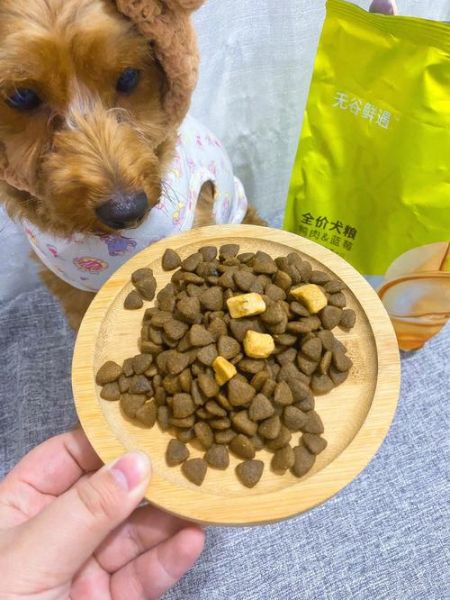 幼犬狗粮的正确泡法的视频,狗粮50克是几粒啊
