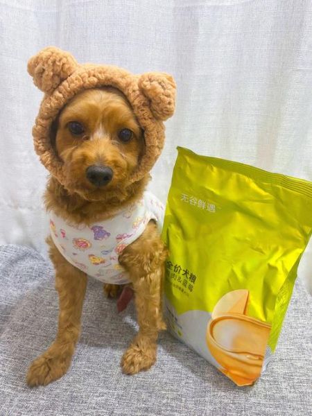 幼犬狗粮的正确泡法的视频,狗粮50克是几粒啊
