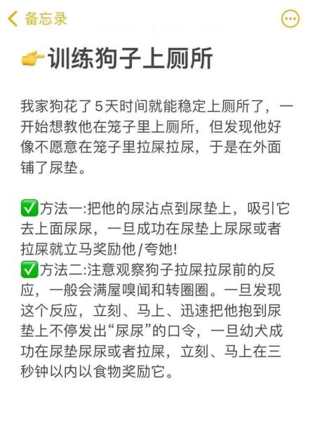 德牧怎么训练不咬人,德牧怎么训练定点排便