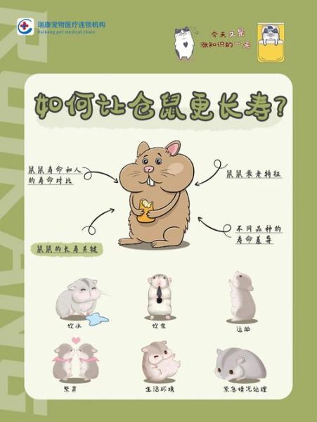 怎么判断仓鼠饿了,怎么判断仓鼠几岁了