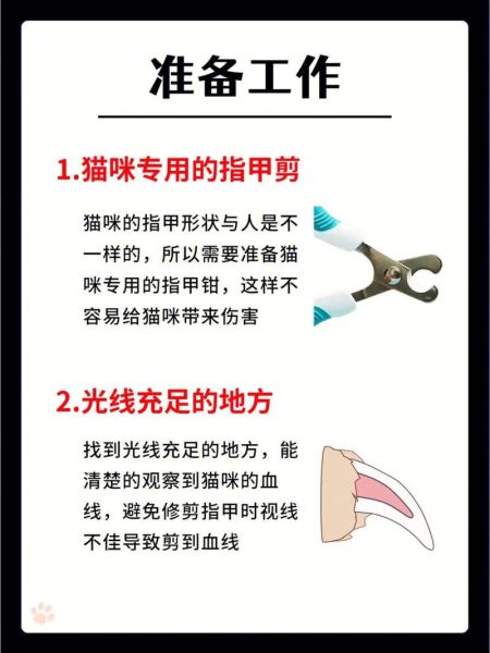 怎样给小猫剪指甲,两个月小猫能剪指甲吗