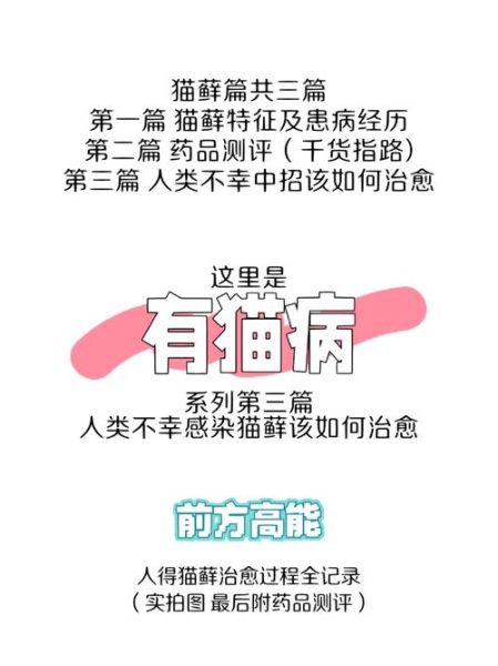 有猫病患者,有猫病 鸟精病