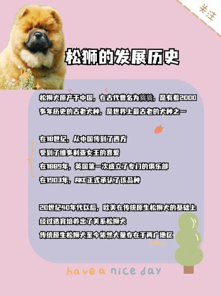 松狮多少钱一只 幼犬,松狮多少钱一只 纯种