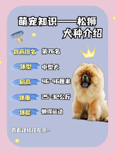 松狮多少钱一只 幼犬,松狮多少钱一只 纯种
