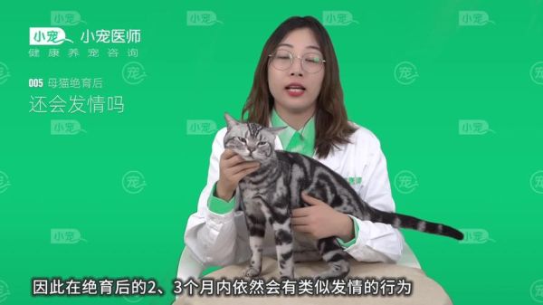 母猫发情几天后可以做节育手术了,用了棉签后猫咪能安静多久