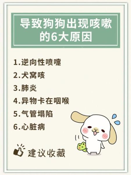 狗狗久咳不愈怎么办,狗狗老咳嗽是怎么回事