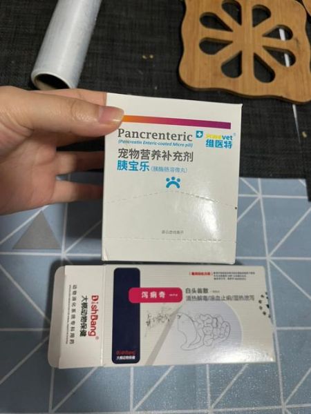 狗狗胰腺炎口服人用药,犬胰腺炎特效药物司他丁