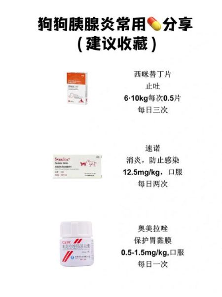 狗狗胰腺炎口服人用药,犬胰腺炎特效药物司他丁