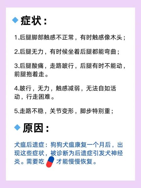 狗瘟的症状与治疗方法,狗瘟的症状会传染人吗